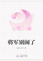 将军别闹了