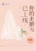 你的未婚夫已上线