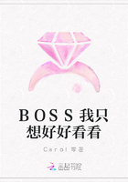 BOSS我只想好好看看