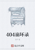 404崩坏录