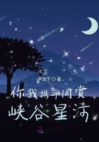 你我携手同赏峡谷星河