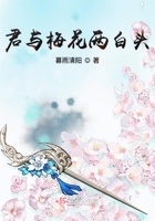 君与梅花两白头