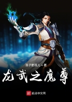 龙武魔尊传