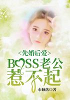 先婚后爱：boss老公惹不起