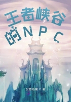 王者峡谷的NPC