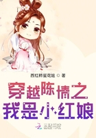 穿越陈情之我想当红娘