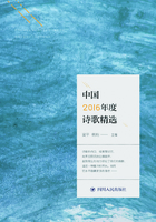 中国2016年度诗歌精选