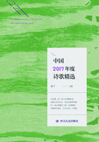 中国2017年度诗歌精选