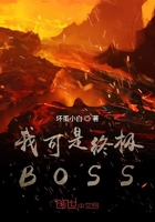 我可是终极BOSS