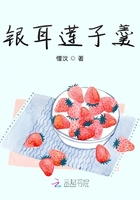 以莫为光