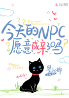 今天的NPC愿意成亲了吗