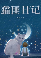 猫匪日记