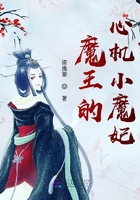 魔王的心机小魔妃