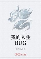 我的人生BUG