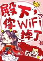 殿下，你wifi掉了