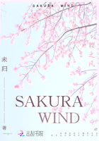 SakuraWind樱之风