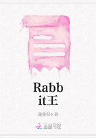 Rabbit王