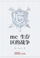 mc生存区的战争