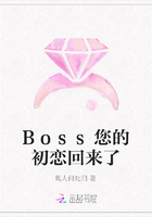 Boss您的初恋回来了