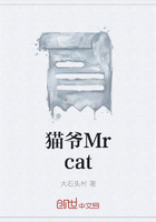 猫爷Mrcat