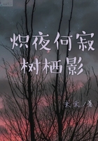 炽夜何寂树栖影