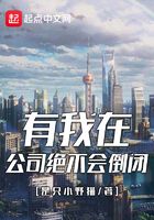 有我在公司绝不会倒闭