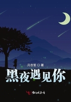 黑夜遇见你