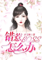 错惹BOSS怎么办