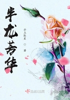 半龙芳华