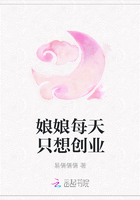 娘娘每天只想创业