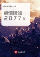 赛博修仙2077k