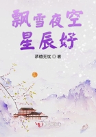 飘雪夜空星辰好