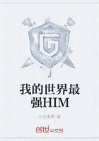 我的世界最强HIM