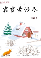 霜雪黄沙尽