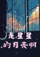 是星星的月亮啊