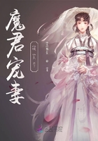 魔君宠妻倾天下