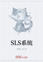 SLS系统