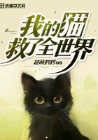 我的猫救了全世界